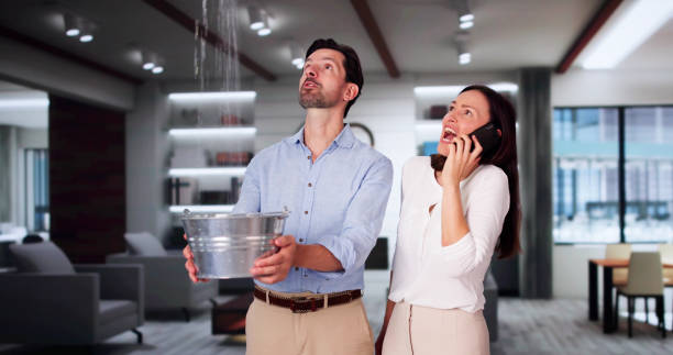 Best Flooded house restoration  in Valley Falls, RI